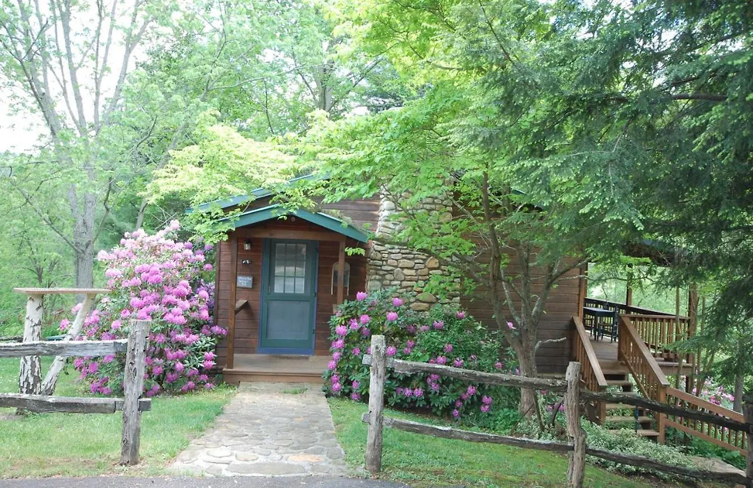 Mountain Springs Cabins-1