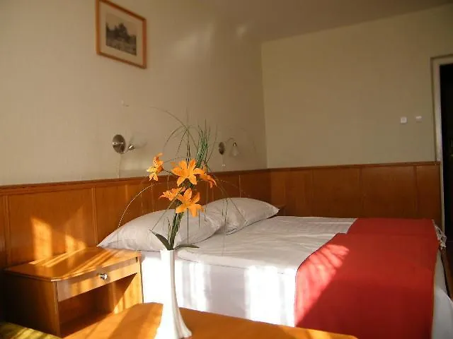 Hotel Magistern-1