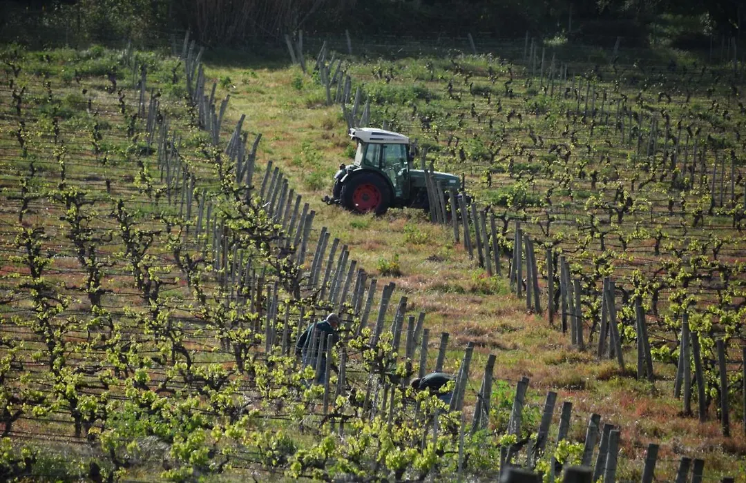 Quinta De Catralvos-1