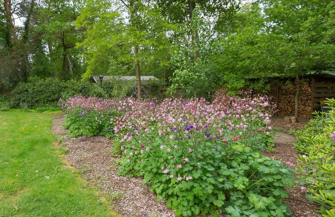 B&B Schipborg-1