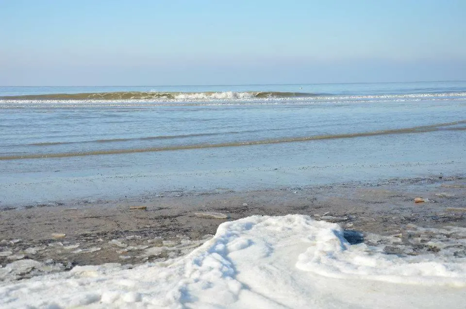 Pension 't hofje 350 meter van het strand-1