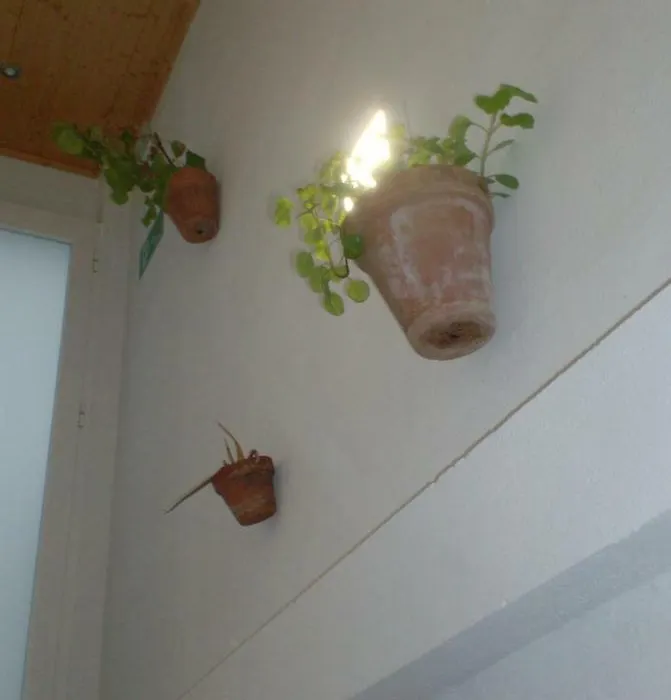 Rocio Rooms-1