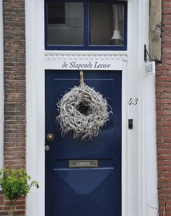 De Slapende Leeuw-1