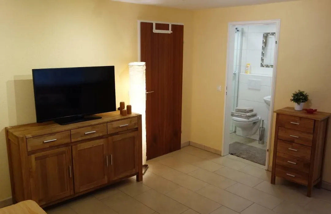 Nuernberg Apart - Business Apartment-1