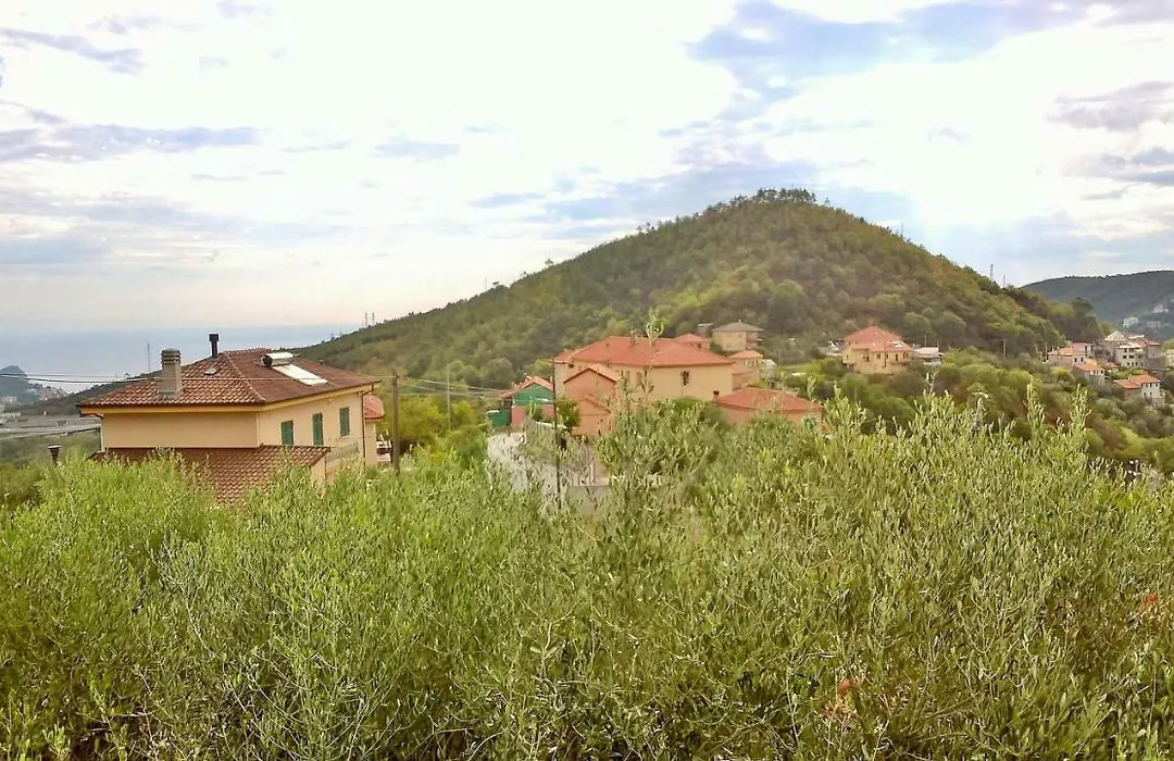 B&B Elfo degli Ulivi-1
