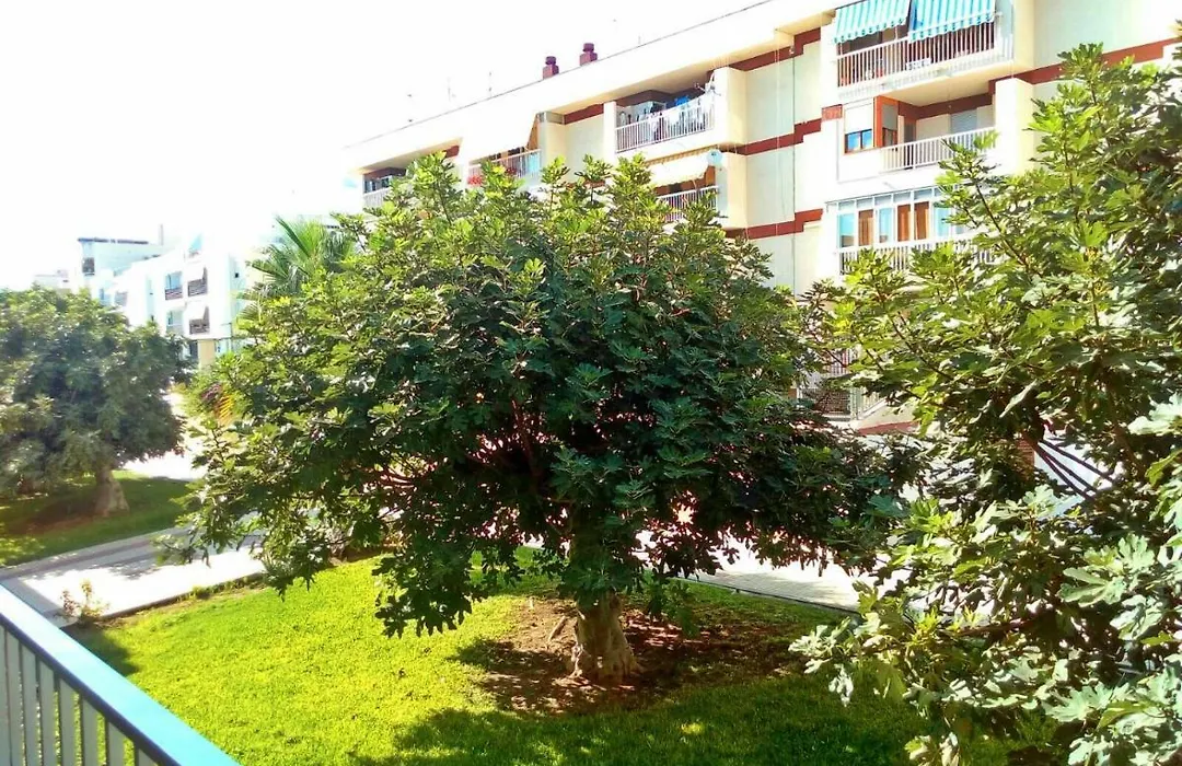 Wonder Rooms Nerja Guest House-1