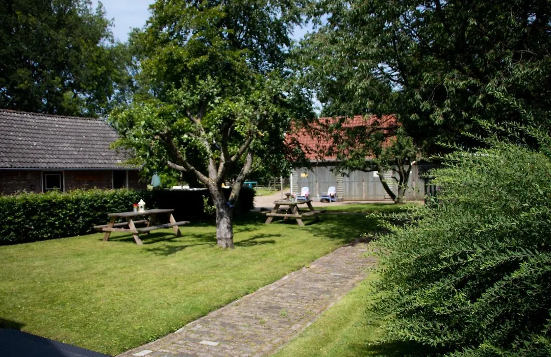 B&B Aangenaam - Olde Horst Diever-1