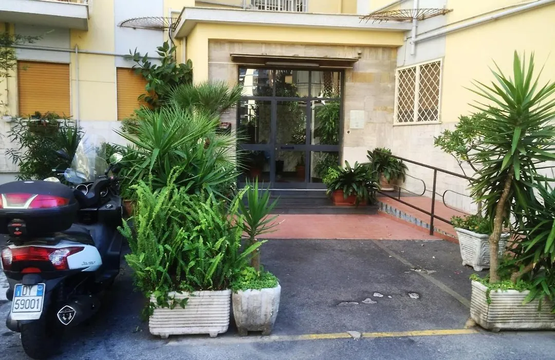 B&B Alexander-1