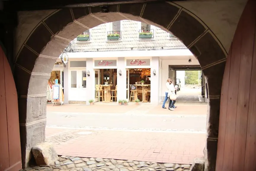Hotel Garni Kaiserpfalz-1