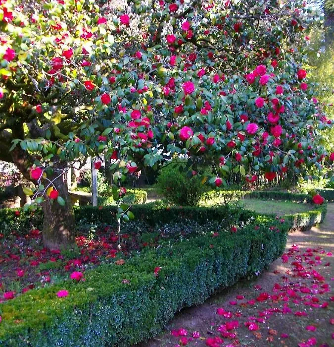 Quarto Das Lamparinas-1
