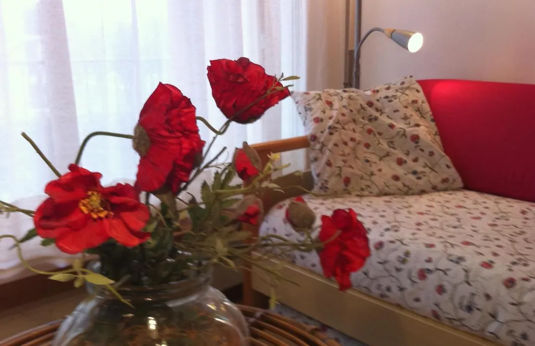 Residence Geranio-1
