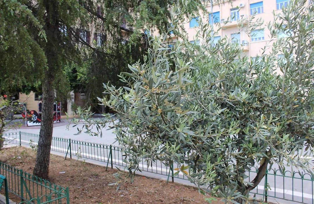 Hotel Del Viale-1