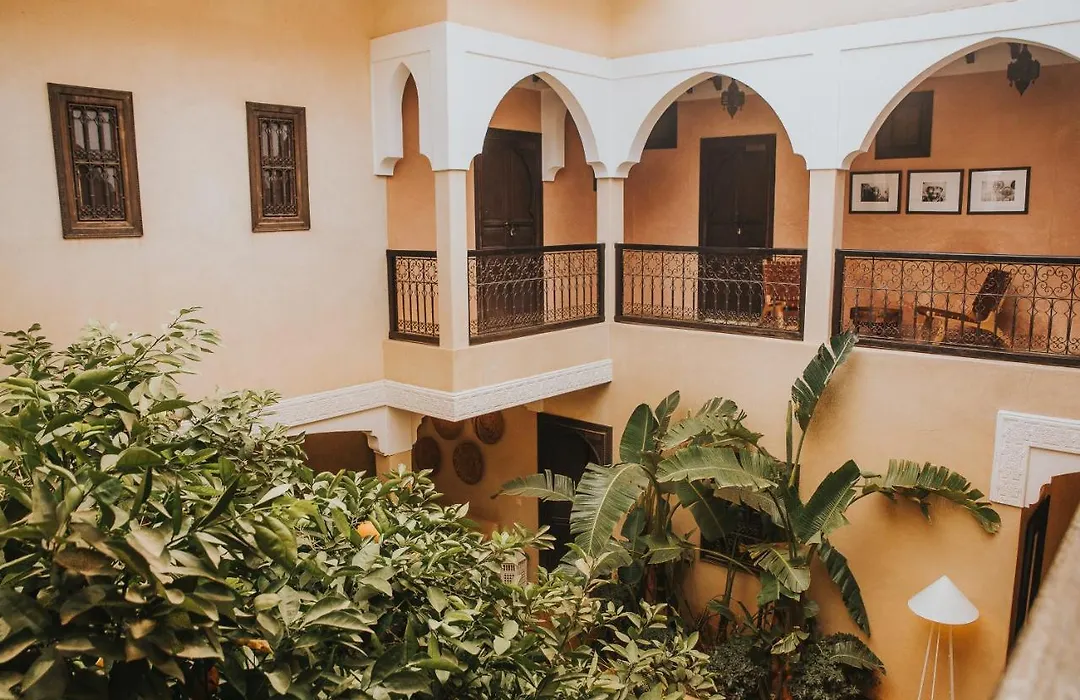 Riad L'Oiseau Du Paradis-1