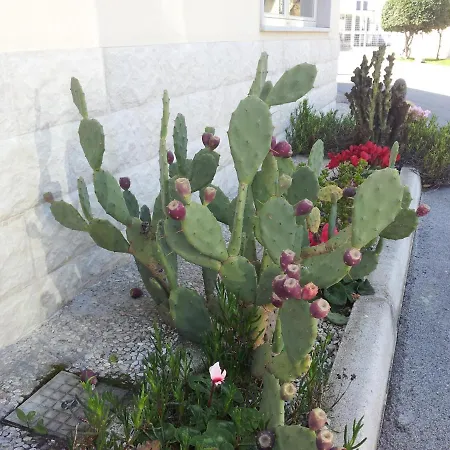 Hotel Giardino-2
