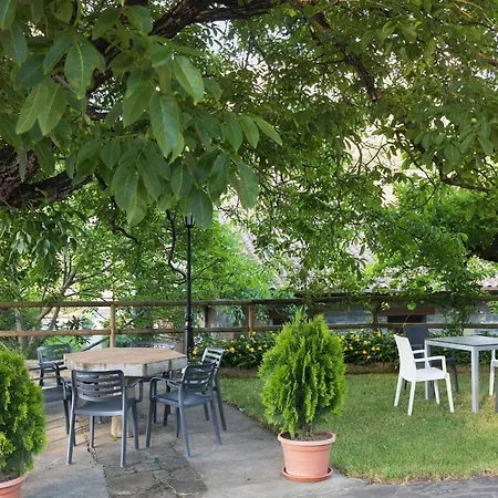 Hotel Cinca-2