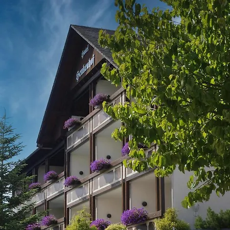 Landhotel Henkenhof Willingen-2