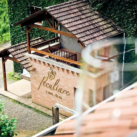 Vinicola e Pousada Peculiare-2