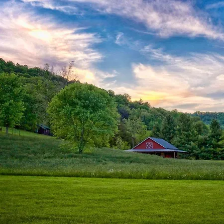 Mountain Springs Cabins-2