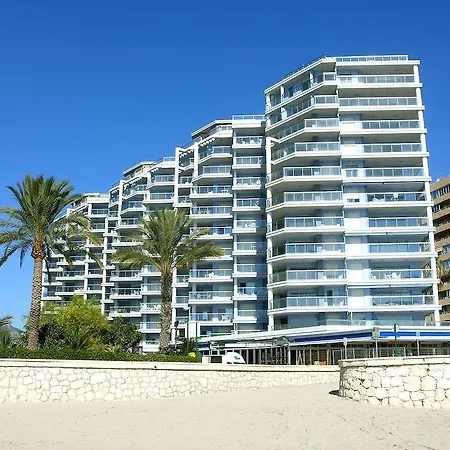 Hipocampos-2