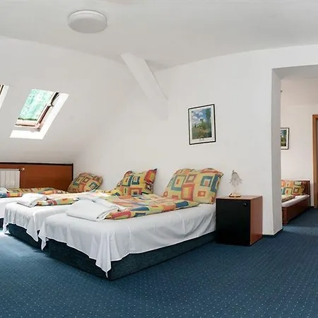 Hotel Fortuna-3