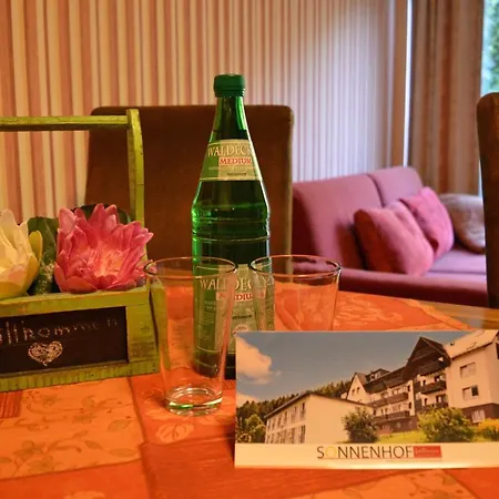 Sonnenhof-Willingen-2