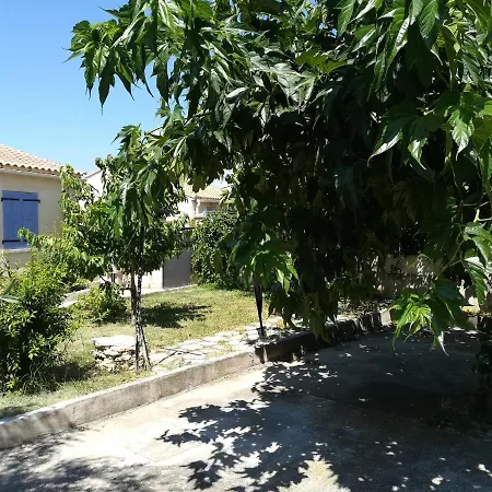 La Maison D'Ogooue-3