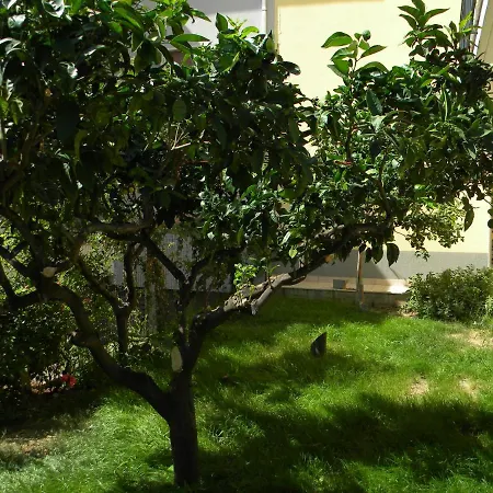 B&B Il Giardino Diamante-2