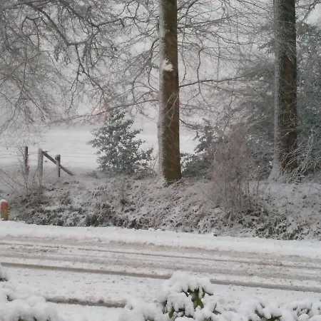 Anna's B&B Rijssen-3