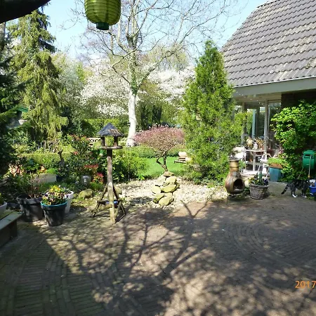 Wiersse 68-2