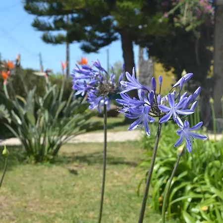 Meraki Guesthouse-3