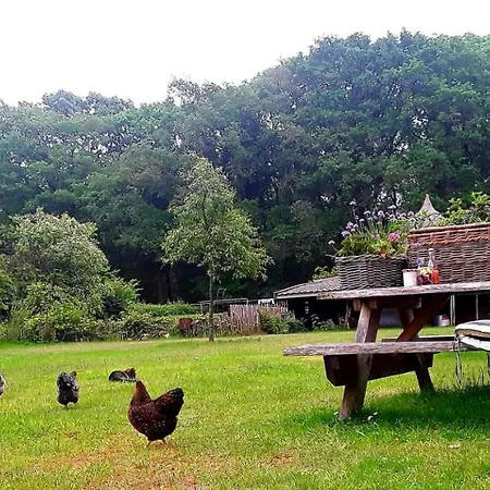 Bed & Breakfast Markelo-2