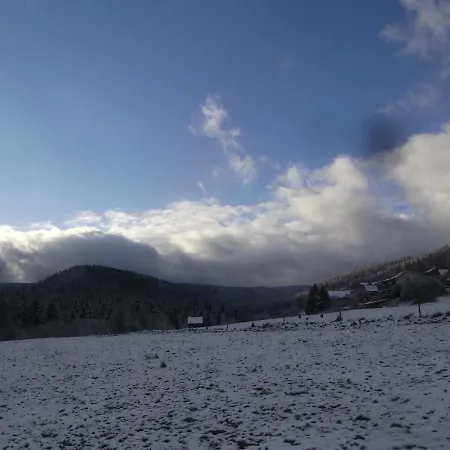 Schwarzwald-Gasthof Hirsch-3