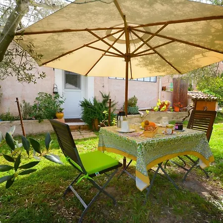 le cabanon de l'olivette-2