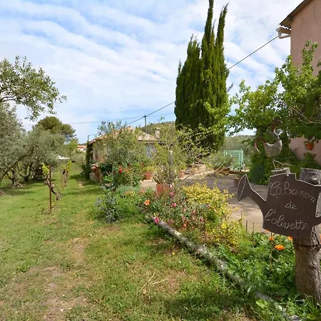 le cabanon de l'olivette-3