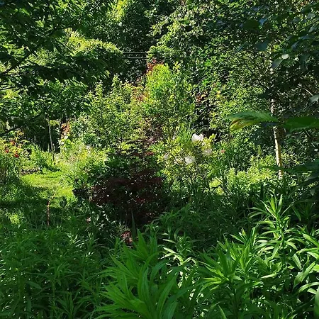 La petite maison du jardin d'Apollon-2