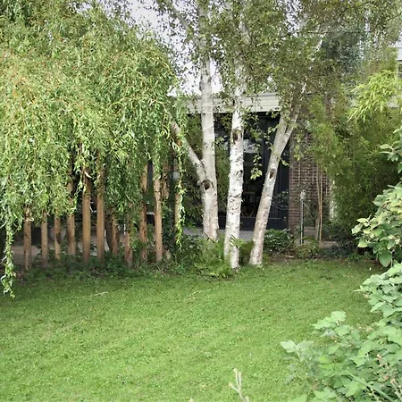 B&B Behind The Tree-2