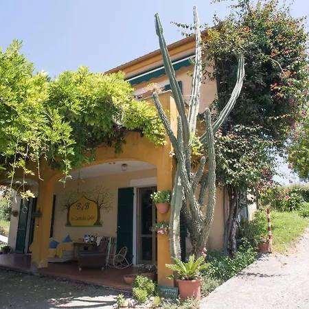 B&B La casa dei gelsi-2