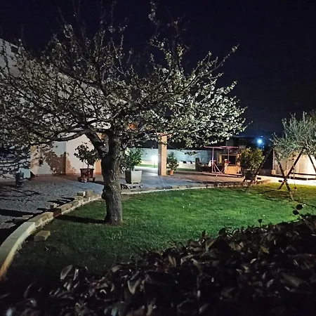 La corte di Emma e Ale-2