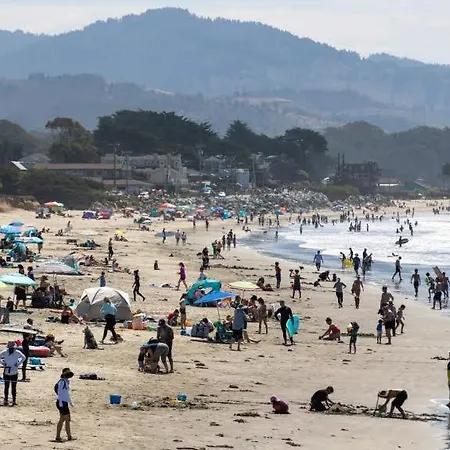 The Oceanfront Stay On Miramarbeach Hmb-2