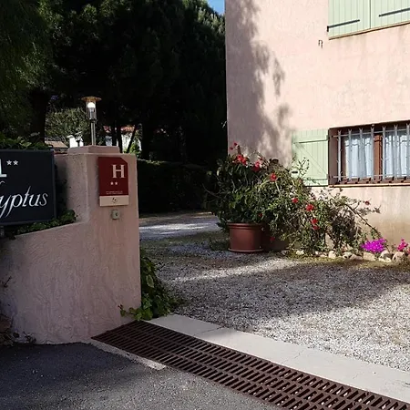Hôtel les Eucalyptus-3