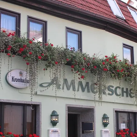 Ammerscher Bahnhof-3