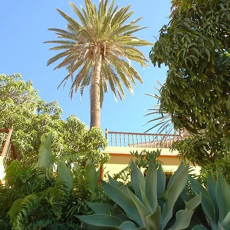 Hotel Jardin Concha-2