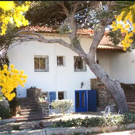 Villa Bleue - Les Pins-3