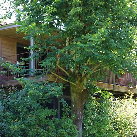 Hôtel Les Glycines - Restaurant&Spa-3