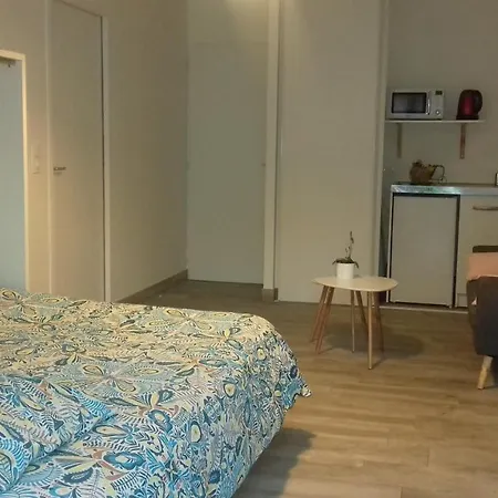 Studio Dans Quartier Calme Pres De Tout-3