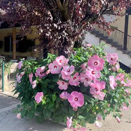 Residenza Cerci-3