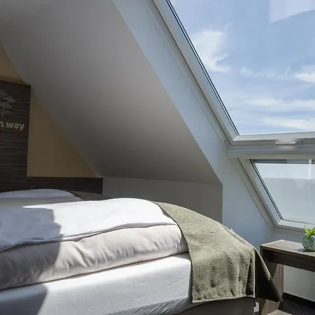 AKZENT Strandhotels Seestern, Delphin&Lachs-3