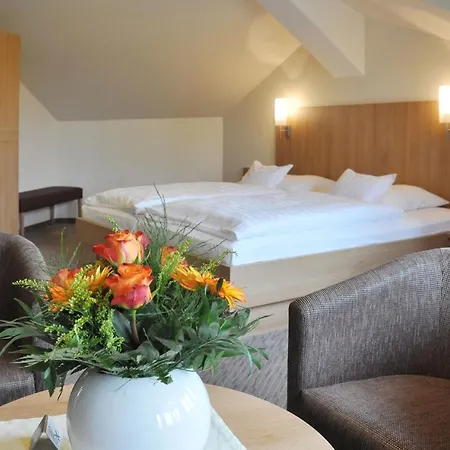 Hotel Fortuna-3