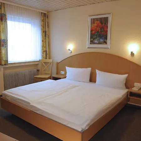 Hotel Goldener Karpfen-2