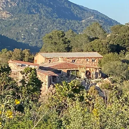 Domaine De Piscia-3